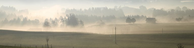 Hergensweiler im Nebel 2275--1200x300.jpg